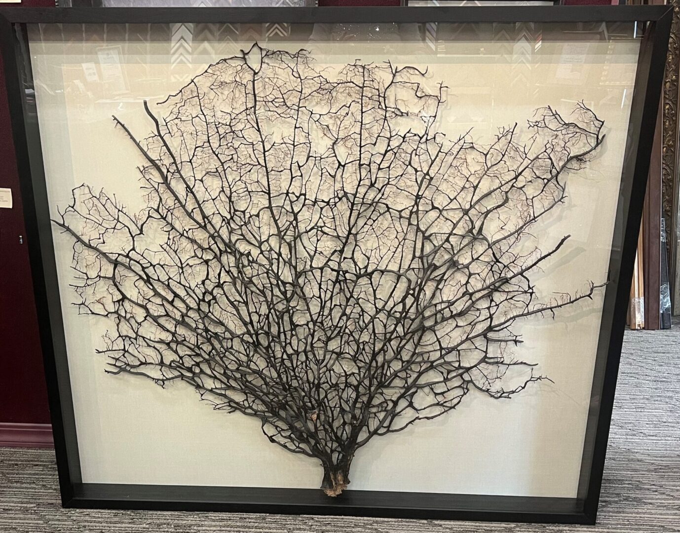 A picture of a tree in a frame.