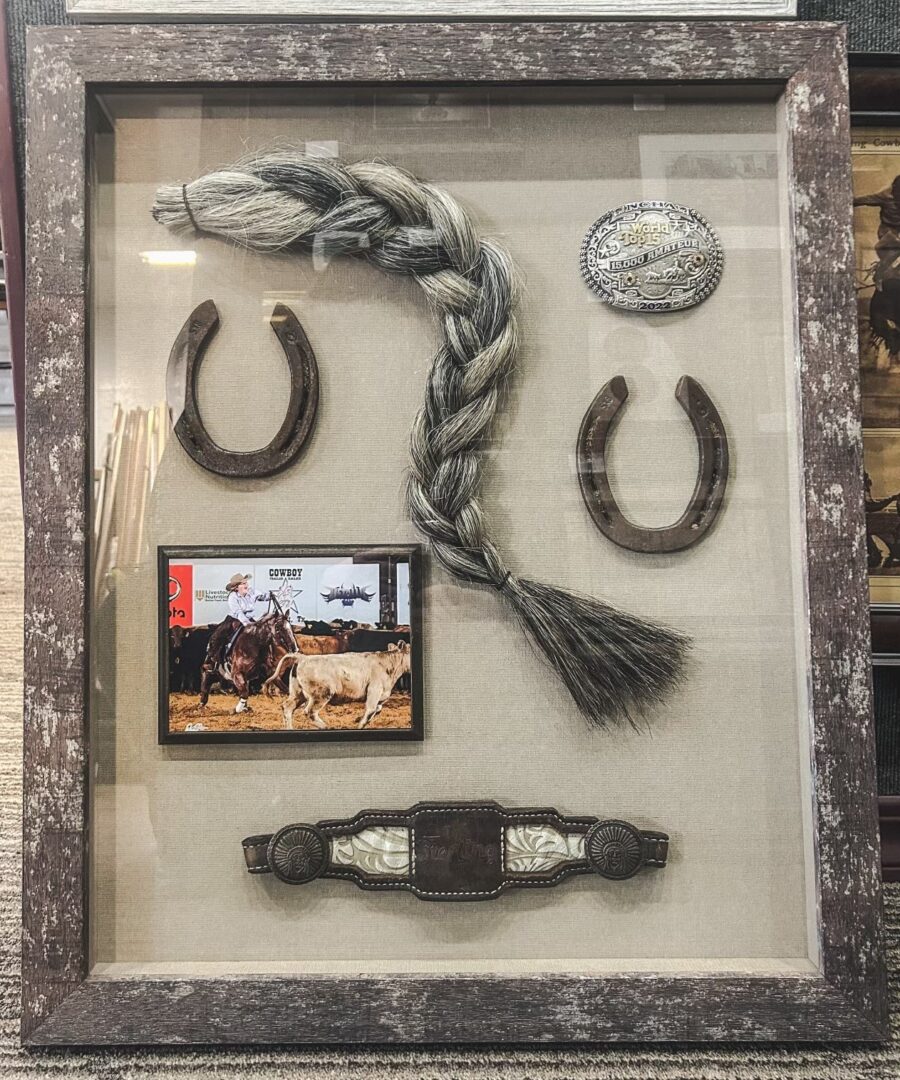 A framed picture of horse shoes, rope and a medal.